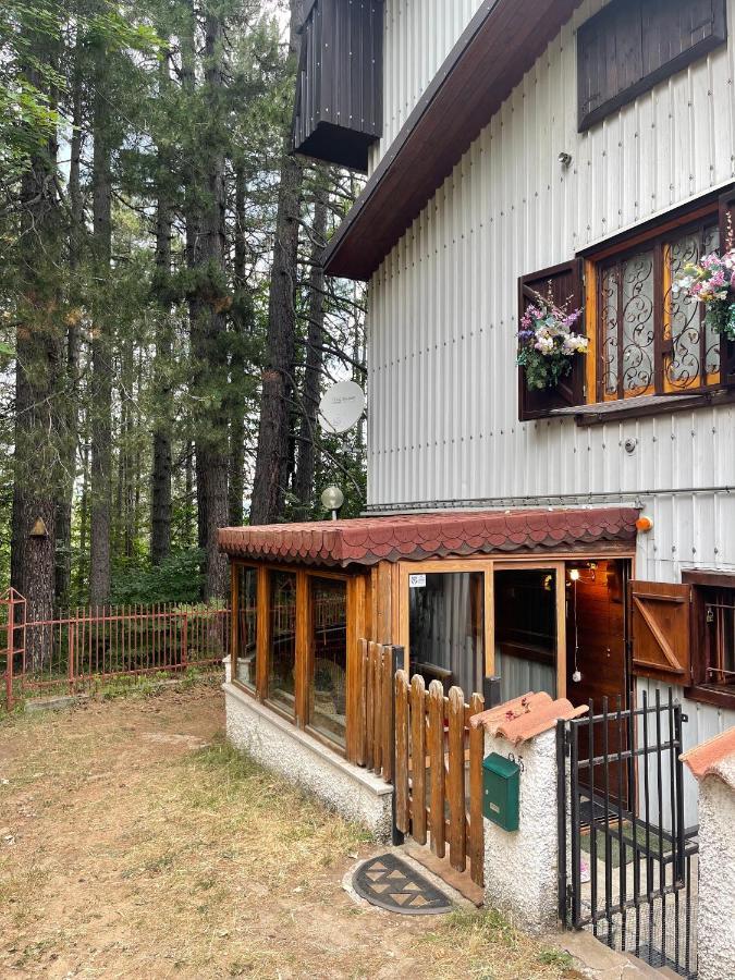 La Veranda Nella Neve - Камилятело Силано Екстериор снимка