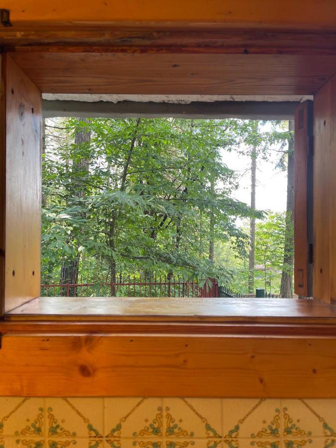 La Veranda Nella Neve - Камилятело Силано Екстериор снимка