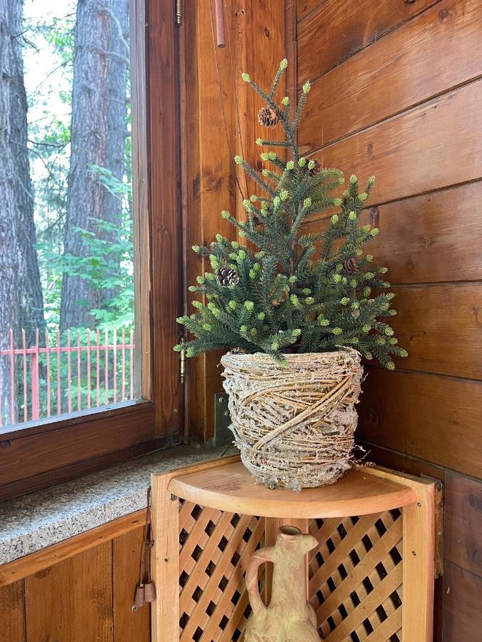 La Veranda Nella Neve - Камилятело Силано Екстериор снимка