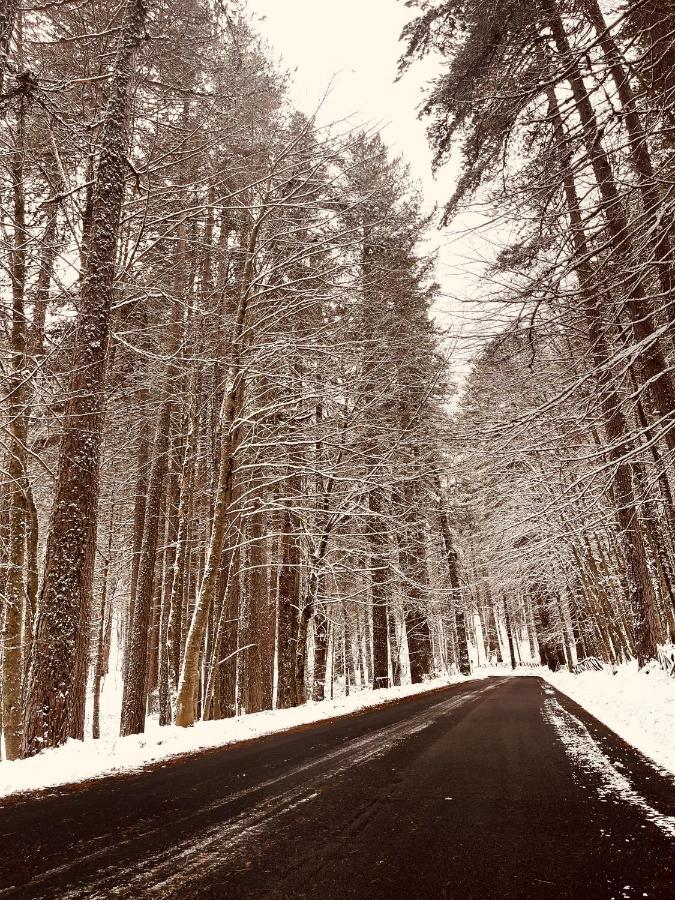 La Veranda Nella Neve - Камилятело Силано Екстериор снимка